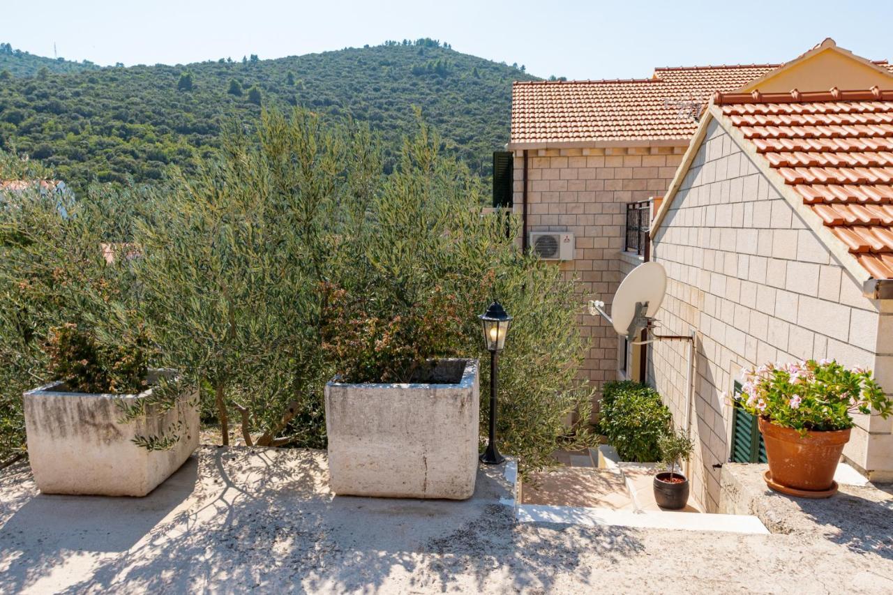 Villa Ana Zrnovo Екстер'єр фото